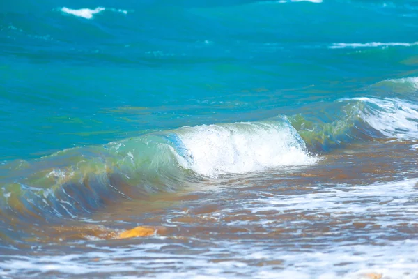 Foto di un bellissimo primo piano aqua — Foto Stock