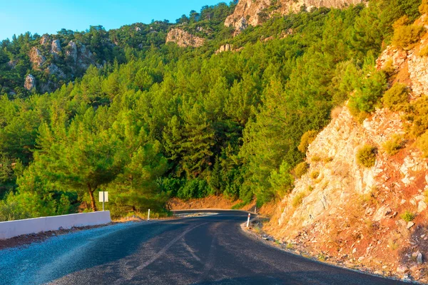 Montañas cubiertas de pinos y caminos de montaña — Foto de Stock