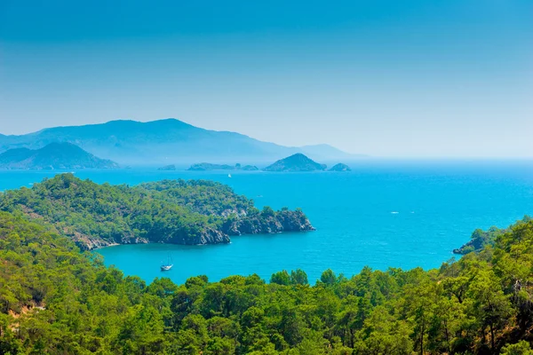 Muhteşem deniz manzarası ve çam ormanlar dağlarda — Stok fotoğraf