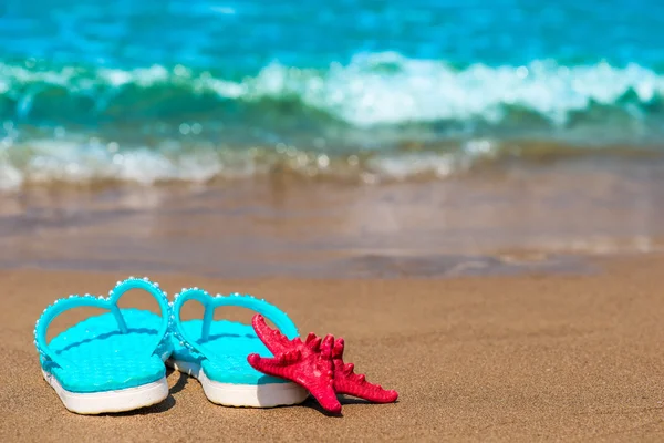 Schöner Schiefer und roter Seestern auf dem Meer — Stockfoto