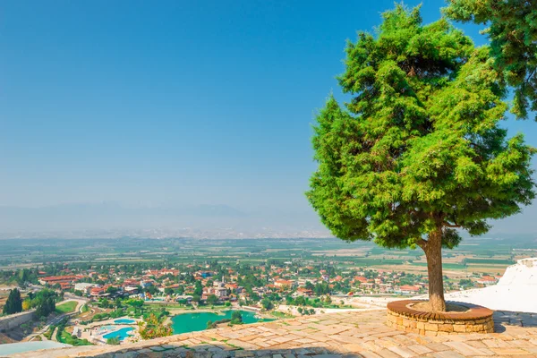 Lummiga träd på de kulle Pamukkale och utsikt över staden — Stockfoto