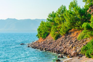 Ege Denizi'nin vahşi kayalık plaj