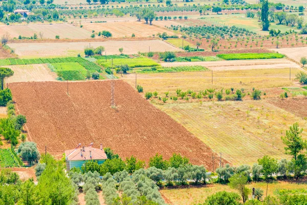 Tratti di terreno agricolo nel paese meridionale — Foto Stock