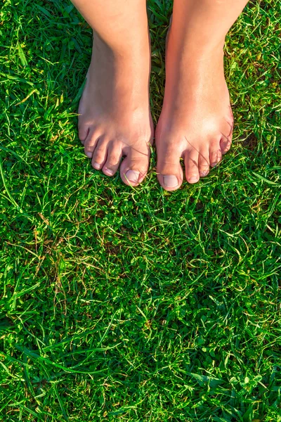 Vertical picture of female legs on a green lawn — Stock Photo, Image