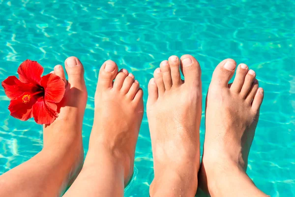 Pieds d'un jeune couple au bord de la piscine avec une fleur rouge — Photo