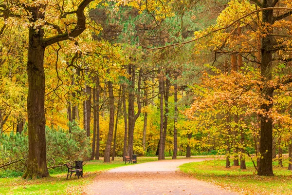 Vacío hermoso parque con bancos en el otoño — Foto de Stock