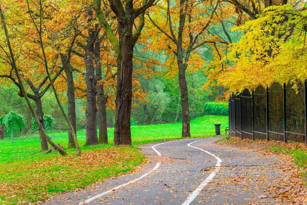 Carril bici en un parque de otoño amarillo vacío — Foto de Stock