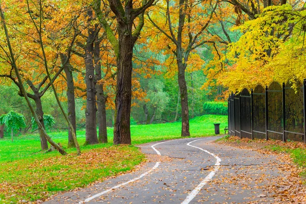 Cykelväg i en tom gula höst park — Stockfoto