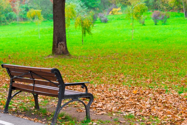 Foglie cadute su un prato in parco di autunno e panchina — Foto Stock