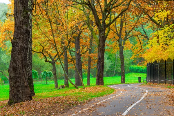 Pista de jogging vacía en el parque de otoño — Foto de Stock