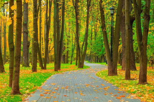 Park met loofbomen verwijderd in de herfst van oktober — Stockfoto