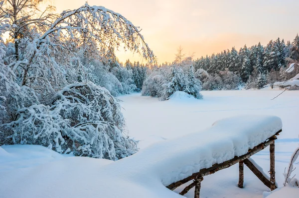 冬の雪に覆われた森の朝撮影 — ストック写真