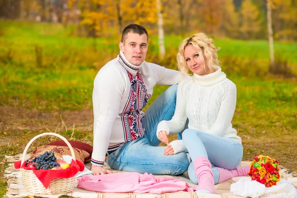 Menschen, die gerne Zeit bei einem Picknick im Park verbringen — Stockfoto