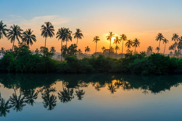 Rijen van palmbomen in een meer weerspiegeld bij dageraad — Stockfoto