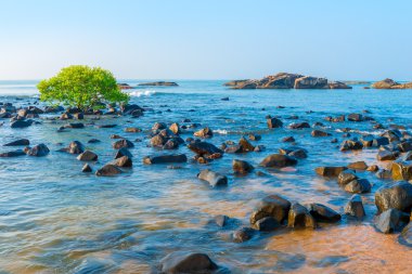 mavi deniz suyu ve dağınık taşlar