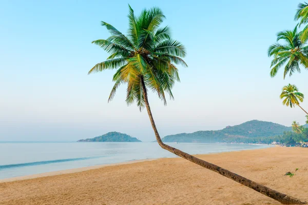 Mooie kokospalmen en tropisch strand — Stockfoto