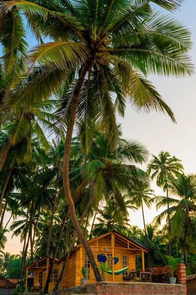 Dřevěný bungalov mezi tropickými kokosovými palmami — Stock fotografie