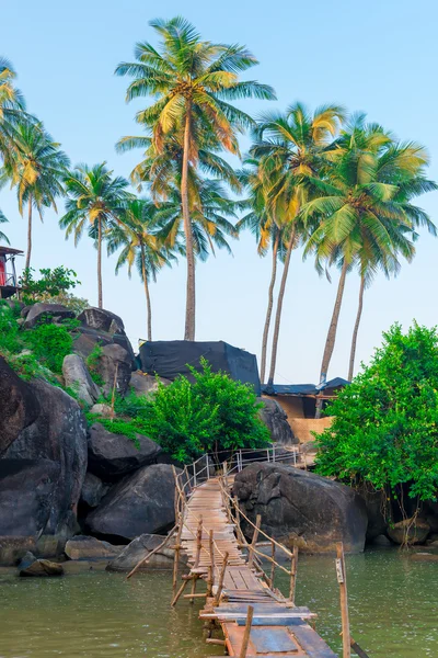 Prachtig uitzicht op de palmbomen en rotsachtige kust — Stockfoto