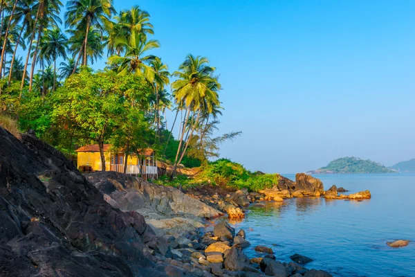 Palm trees growing on the rocky shore in heavenly place — Stock Photo, Image