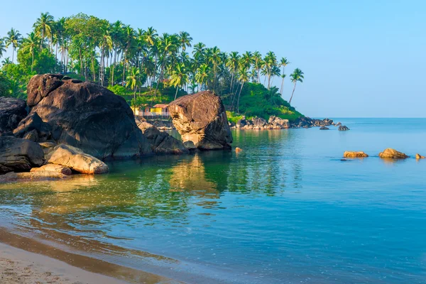Palmeras verdes y mar turquesa en una hermosa ubicación Goa —  Fotos de Stock