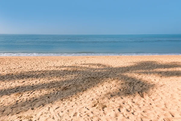Σκιά από την καρύδα παλάμη στην άμμο τροπική παραλία — Φωτογραφία Αρχείου