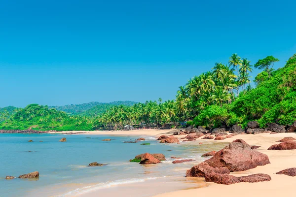 Einsamer tropischer Strand an einem sonnigen Tag — Stockfoto