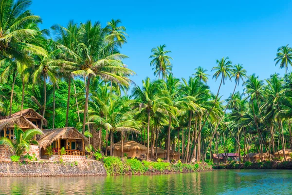 Tropical palms and bungalows to relax from the hectic — Stock Photo, Image