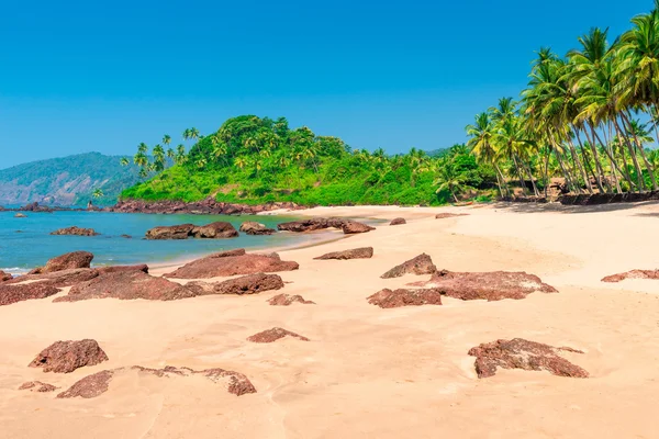 Imagem horizontal da bela praia tropical à tarde — Fotografia de Stock