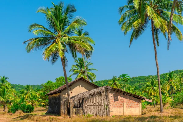 Verlaten gebouw in een coconut grove in de tropen — Stockfoto