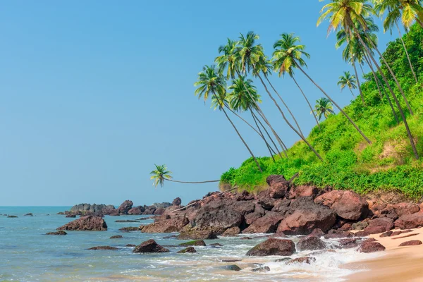 Pierres dans la mer et palmiers sur la colline — Photo