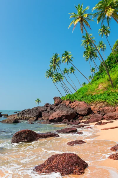 Vertikal bild av vackra stranden i tropikerna — Stockfoto