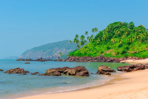 Foto van een mooi tropisch strand van Goa — Stockfoto