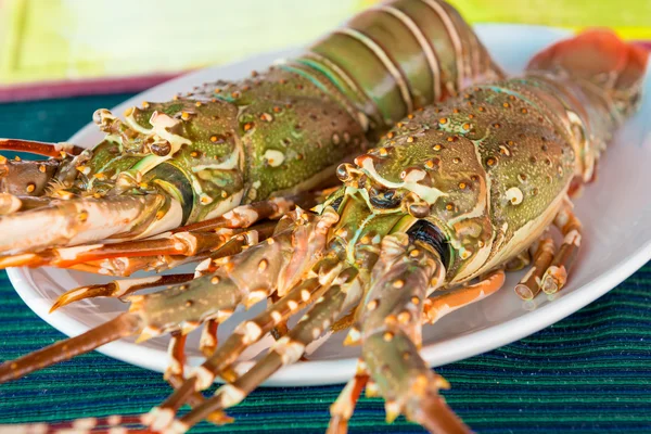 Свежие сырые омары на столе в тарелке — стоковое фото