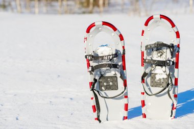 snowshoes are standing upright in the snow