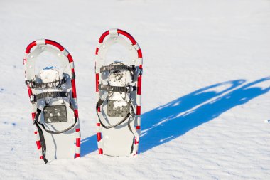 snowshoes stuck in the snow and plenty of natural light