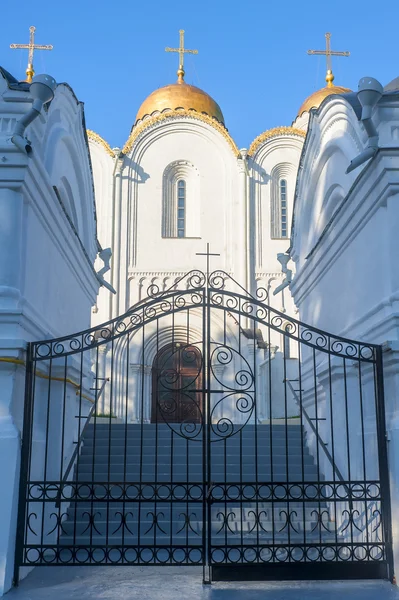 Успенский собор, Владимир крупным планом — стоковое фото