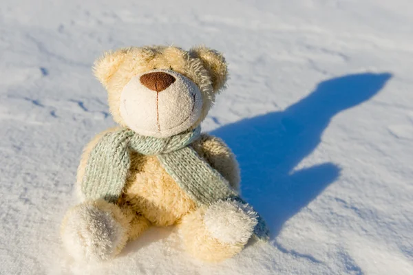 Teddy bear with scarf sitting in the snow — Stockfoto