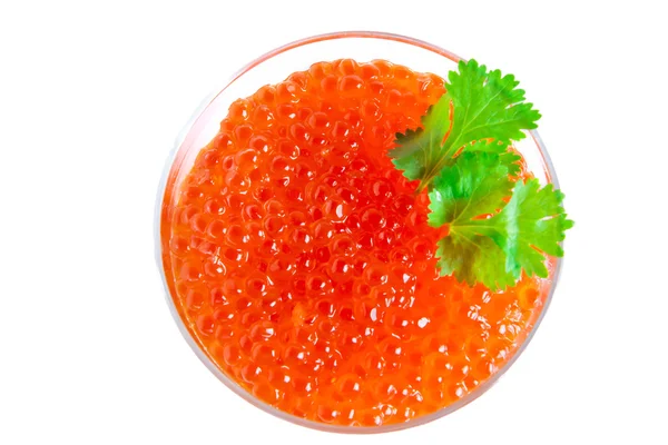 Dishes with red caviar and parsley isolated — 图库照片