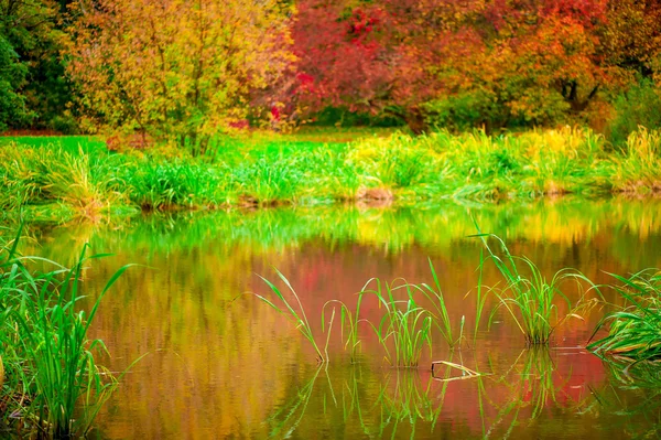 Jezioro piękne i spokojne Las jesienią — Zdjęcie stockowe