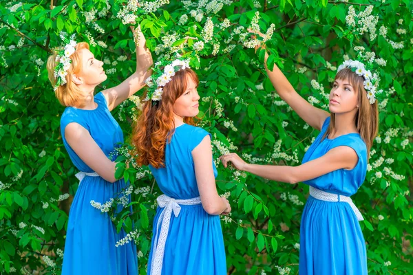 여자 친구의 꽃 시간에서 새 체리 나무 근처 — 스톡 사진