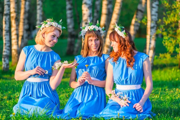 Freundinnen mit Kränzen auf dem Kopf sitzen auf einer grünen Wiese — Stockfoto