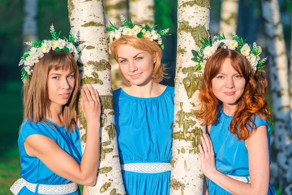 Tre belle amiche su betulle in una serata estiva — Foto Stock