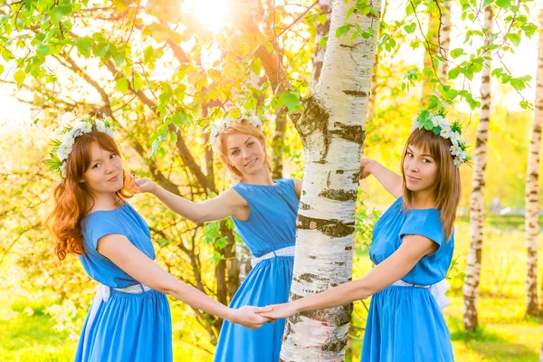 Beautiful girlfriend standing around the trunk of a birch Stock Image