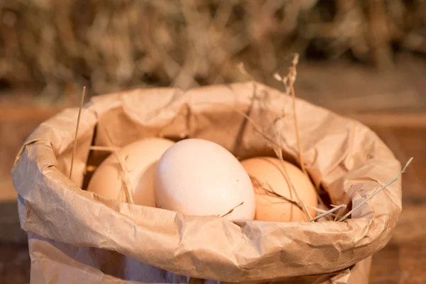 Um saco de papel cheio de ovos crus de galinha — Fotografia de Stock