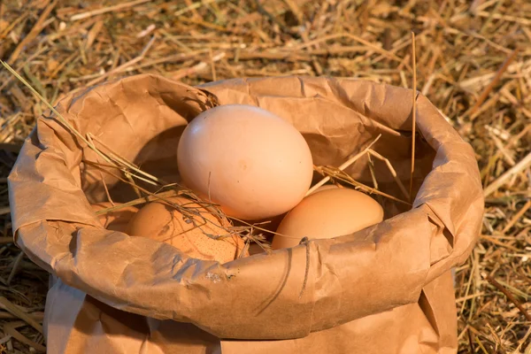 Rustic chicken eggs are packed in bag close-up — Stock Photo, Image