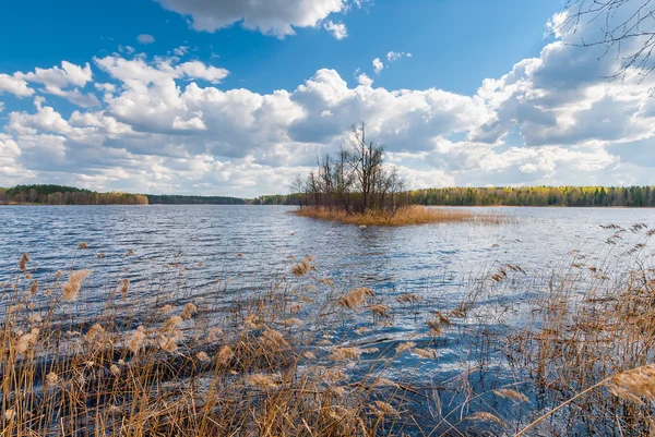 Krásné mraky nad lesní jezero v podzimní den — Stock fotografie