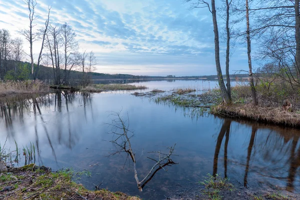 Holé stromy, rostoucí na břehu jezera, podzimní krajina — Stock fotografie