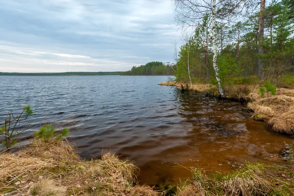 Jezero na podzim pod zamračenou oblohou — Stock fotografie