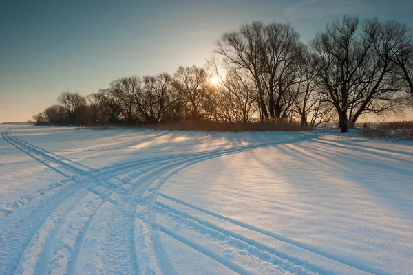 Campo cubierto de nieve y árboles desnudos al atardecer — Foto de Stock