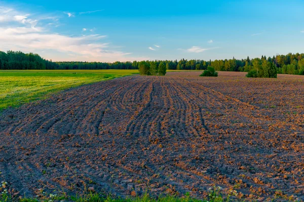 O campo arado pitoresco no por do sol na mola — Fotografia de Stock